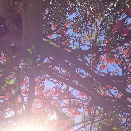 Villa Almenas Maspalomas (Gran Canaria)