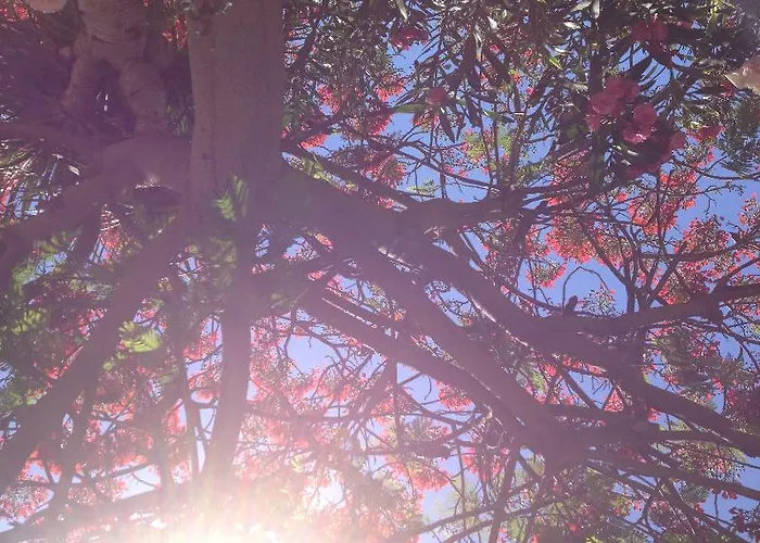 Villa Almenas Maspalomas (Gran Canaria)